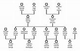 Descubre cómo se hace un árbol genealógico con tus familiares lejanos