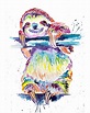 Amazon.com: Colorful Sloth Art Print, Sloth Art, Sloth Watercolor ...