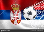 Fifa Copa Del Mundo 2022 Serbia Bandera Nacional Con Una: fotografía de ...