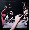 The Chameleons – Strange Times (2022, CDr) - Discogs