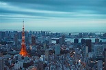 Best Things To Do In Tokyo, Japan - Travel Noire