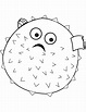 Blowfish coloring page | Free Printable Coloring Pages