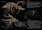 Cloverfield monster redesign by Rodrigo-Vega : r/SpeculativeEvolution