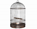 Cage bird PNG