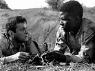 Movie Review: The Defiant Ones (1958) | The Ace Black Movie Blog