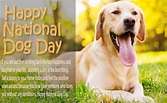 National Dog Day 2019 – Best Quotes, Picture, Greetings Card, Image ...