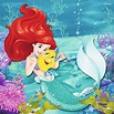 Ariel - a pequena sereia fotografia (40136228) - fanpop