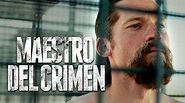 Maestro del crimen (2017) - Netflix | Flixable