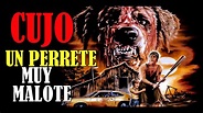 CUJO Película de TERROR de Stephen King - Perros Asesinos - YouTube