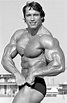 1975 - Arnold Schwarzenegger, Austria (30 July 1947) > USA, height 6 ...