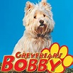 El mundo del Westie: El Westie en el cine: "Bobby, el guardián del ...