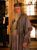 Michael Gambon as Dumbledore Serie Harry Potter, Harry Potter Icons ...