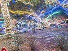 8 Best Neighborhoods to See Christmas Lights in Houston (2021) – Trips ...
