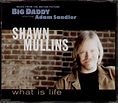 Shawn Mullins What Is Life Records, LPs, Vinyl and CDs - MusicStack