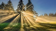 Rays of Sunshine Wallpapers - Top Free Rays of Sunshine Backgrounds ...