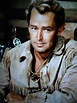 Alan Ladd as Shane (1953) - George Stevens - Paramount | Hey handsome ...