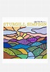 Sturgill Simpson-High Top Mountain LP | Newbury Comics
