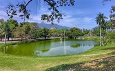 Quinta da Boa Vista (RJ): história e 7 atrações IMPERDÍVEIS