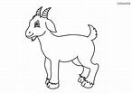 Goats coloring pages » Free & Printable » Goat coloring sheets