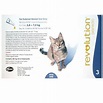 REVOLUTION CAT 6% X 75 ML AZUL – Medicinas Veterinarias