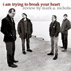 I am Trying to Break Your Heart - A Review - Wilco