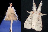 Vestidos inspirados en mariposas por Zac Posen - Estás de Moda: Revista ...