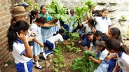 Día Mundial de la Educación Ambiental 2021 | Secretaría de Medio ...