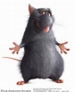 Six New High Resolution Ratatouille Character Photos – /Film