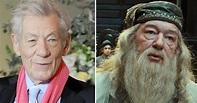 The Real Reason Why Ian McKellen Declined Playing Dumbledore In The ...