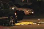 Elliot Rodger: Massacre in Santa Barbara - Mirror Online
