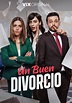 Un Buen Divorcio - streaming tv show online