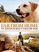 Far From Home: The Adventures Of Yellow Dog Movie Trailer, Reviews and ...