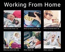 Still working from home? Use these memes to describe the experience ...