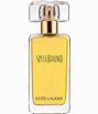 Estee Lauder Spellbound Eau de Parfum Spray | Dillards