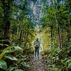 Turismo sostenible | Amazonía peruana | Jungle Experiences » Jungle ...