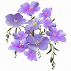 Purple Flowers Images Free Hd Backgrounds Pngs Vector Graphics ...