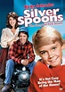 Silver Spoons (TV Series 1982–1987) | Childhood tv shows, 80 tv shows ...