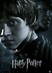 ron poster - Harry Potter Photo (38584853) - Fanpop