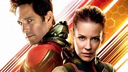 Ant Man And The Wasp Poster, HD Movies, 4k Wallpapers, Images ...