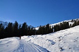 Skitour Wiedersberger Horn aus dem Alpbachtal