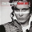 Adam Ant - The Essential Adam Ant Lyrics and Tracklist | Genius