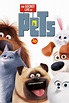 The Secret Life of Pets (2016) - Posters — The Movie Database (TMDB)