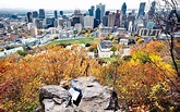 Mount Royal in Montréal: Come Visit, Help or Volunteer - Les amis de la ...