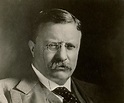 Theodore Roosevelt Biography - Facts, Childhood, Family Life & Achievements