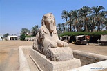 In pics: ruins of ancient Egyptian city of Memphis - Xinhua | English ...
