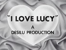 Desilu Productions - Logopedia - Wikia