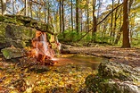 The Yellow Springs, Glen Helen Reserve, Yellow Springs, Ohio No. 5 ...