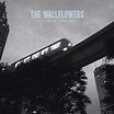 Collected: 1996-2005 by The Wallflowers (Compilation, Alternative Rock ...