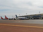 Aeroporto de Goiânia receberá mais de 200 mil passageiros durante alta ...