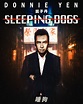 ArtStation - Donnie Yen - Sleeping Dogs Movie Poster (Concept Artwork)